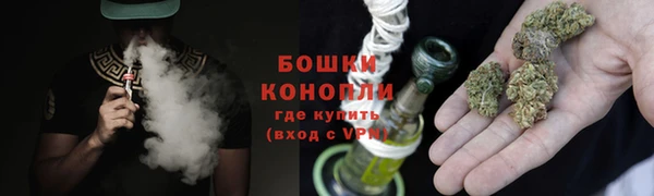 ешки Аркадак