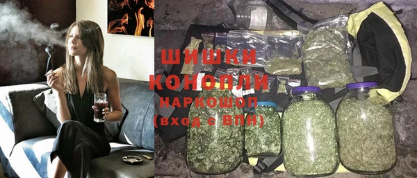 ешки Аркадак