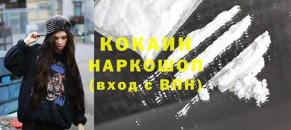 твердый Арсеньев