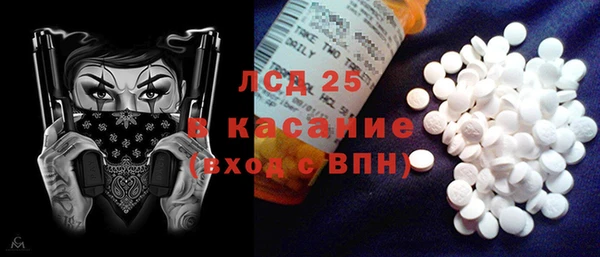 ешки Аркадак