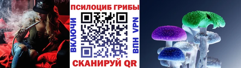 Псилоцибиновые грибы Psilocybe  даркнет сайт  Белокуриха 